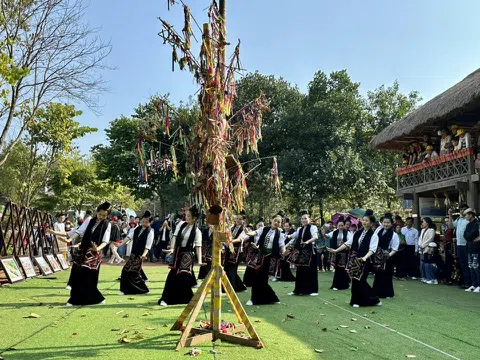 Tập huấn, bồi dưỡng chuyên môn, nghiệp vụ truyền dạy văn hóa phi vật thể