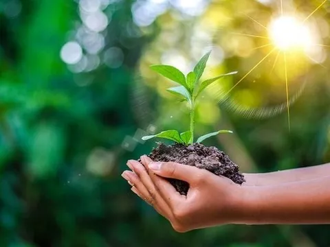 Xây dựng hệ thống các chuẩn mực, giá trị văn hóa sống xanh, lối sống xanh gắn với các giá trị văn hóa truyền thống