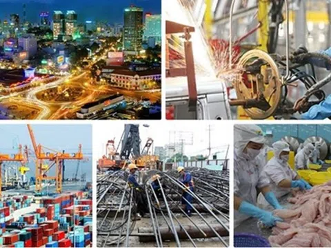 Kịp thời tháo gỡ các khó khăn, vướng mắc trong thực hiện nhiệm vụ phát triển kinh tế - xã hội và đẩy nhanh tiến độ công tác chuẩn bị SEA Games 31