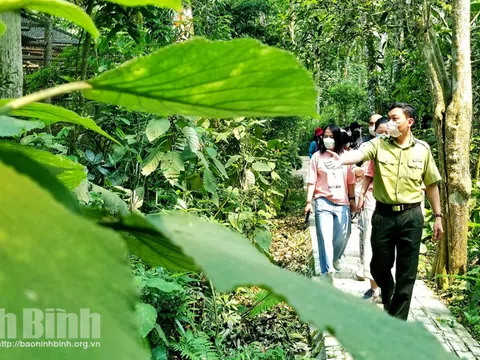 Năm thứ tư liên tiếp Cúc Phương là Vườn Quốc gia hàng đầu châu Á