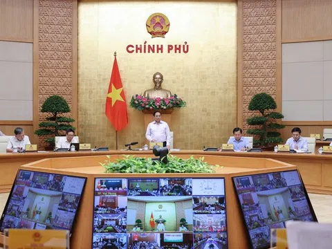 Nỗ lực phấn đấu đạt cao nhất các mục tiêu, chỉ tiêu của năm 2022