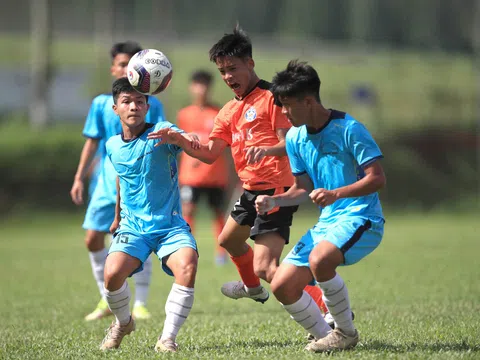 Bóng đá chuyên nghiệp Việt Nam: "Hồn Trương Ba, da hàng thịt"