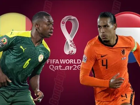 Bảng A > Hà Lan - Senegal (sân Al-Thumama 23 giờ ngày 21/11): Van Gaal nắn gân sư tử Teranga