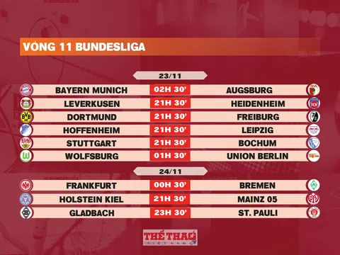 Lịch thi đấu vòng 11 Bundesliga 2024-2025