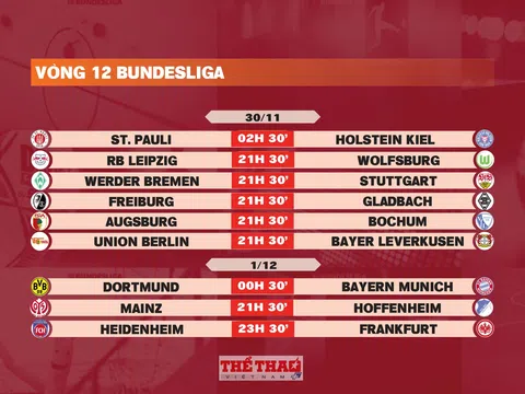 Lịch thi đấu vòng 12 Bundesliga 2024-2025