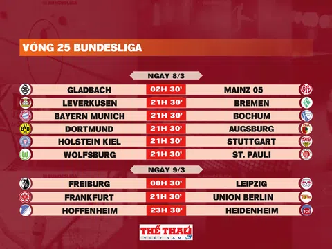 Lịch thi đấu vòng 25 Bundesliga 2024-2025