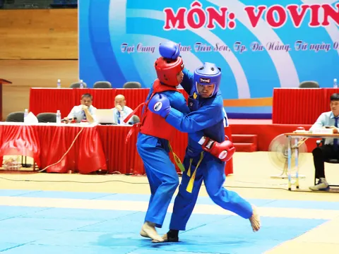 Giải Vovinam tại Đại hội Thể dục thể thao thành phố Đà Nẵng lần thứ X