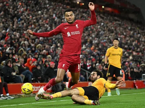 Liverpool - Wolves > 2-2: Trả giá đắt vì sai lầm