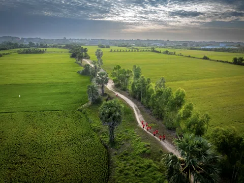 Giải Aikya Cross Country Marathon Trà Vinh 2025: Khám phá cung đường băng đồng tuyệt đẹp hoà quyện cùng văn hoá Khmer độc đáo