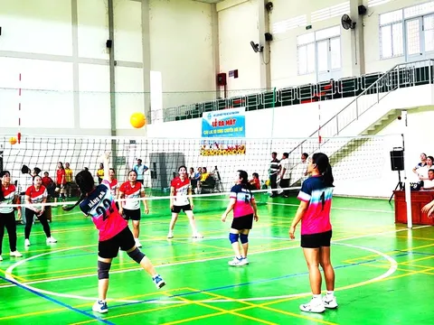 Đại hội Thể dục thể thao xã Vĩnh Bình lần thứ I năm 2026: Hơn 500 vận động viên tranh tài 8 môn thi đấu