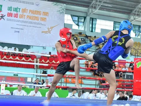 Khai mạc Liên hoan Võ cổ truyền TP.HCM mở rộng 2026: Rực rỡ "Đài võ đất phương Nam"