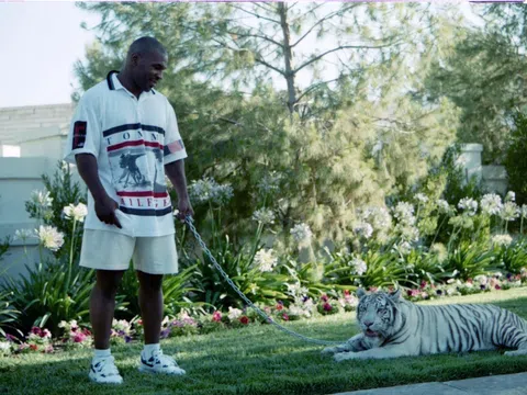 Thèm thịt chó nhà hàng xóm, hổ cưng của Mike Tyson bị bắt