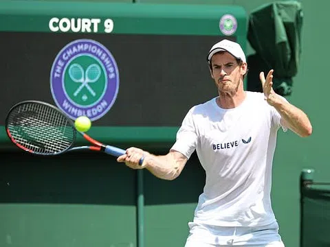 Wimbledon dự kiến làm lễ tri ân Andy Murray