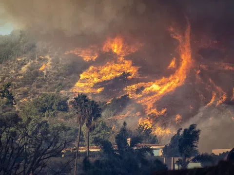 Thảm họa cháy rừng California gây lo ngại cho Thế vận hội 28