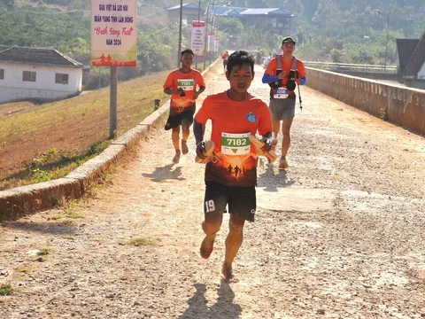 Hơn 1.000 vận động viên đăng ký tham gia giải Đà Lạt Fresh Night Marathon