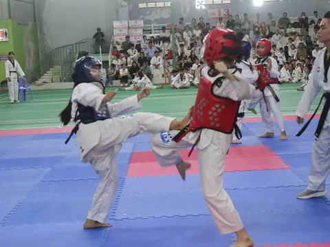 Hơn 280 võ sinh thi thăng đẳng Taekwondo thành phố Cần Thơ lần thứ nhất