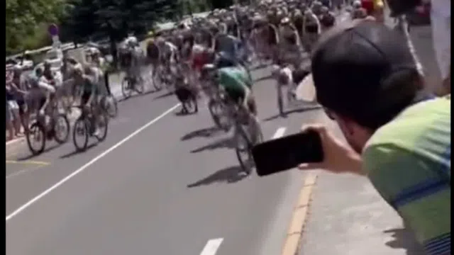 Giải Xe đạp Tour de France: Hỗn loạn vì chó chạy rông